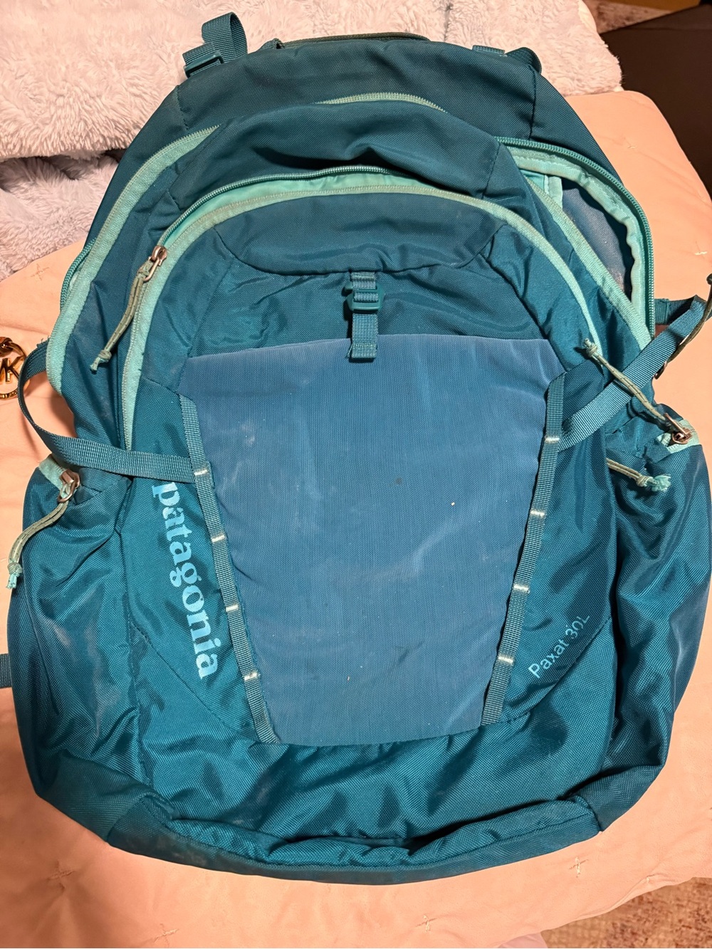 Patagonia Teal and Light Teal Daypack Backpack - Men's